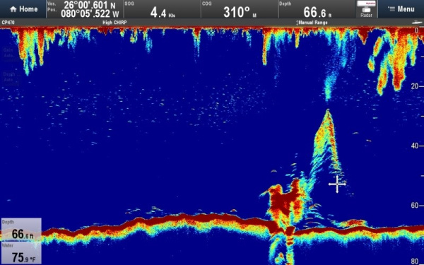 Блок эхолокации Raymarine CP470 E70298 от прозводителя Raymarine