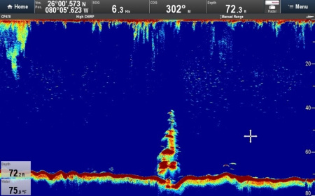 Блок эхолокации Raymarine CP470 E70298 от прозводителя Raymarine