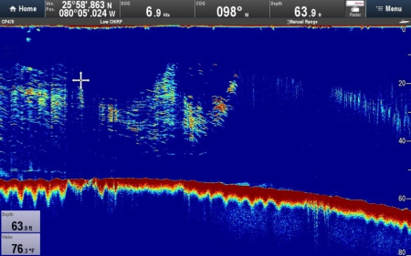 Блок эхолокации Raymarine CP470 E70298 от прозводителя Raymarine