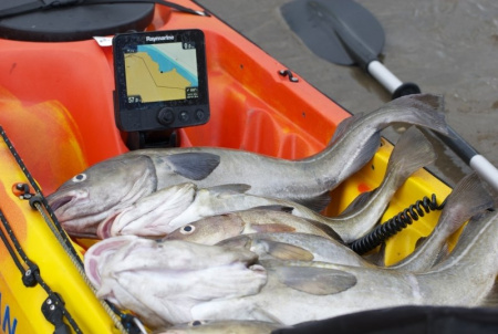 Raymarine Dragonfly-7 Pro с датчиком CPT-DVS