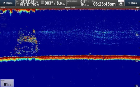 Блок эхолокации Raymarine CP570 E70258 от прозводителя Raymarine