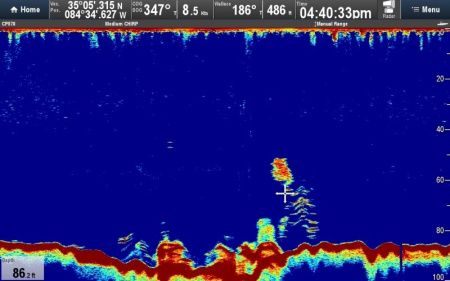 Блок эхолокации Raymarine CP570 E70258 от прозводителя Raymarine