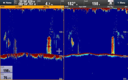 Блок эхолокации Raymarine CP470 E70298 от прозводителя Raymarine