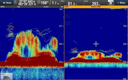 Блок эхолокации Raymarine CP570 E70258 от прозводителя Raymarine