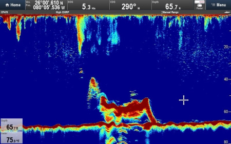 Блок эхолокации Raymarine CP470 E70298 от прозводителя Raymarine